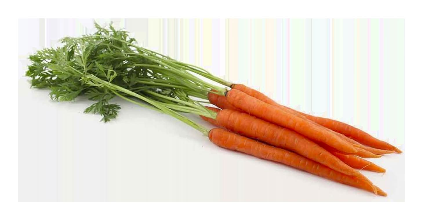 Carrots Bunch