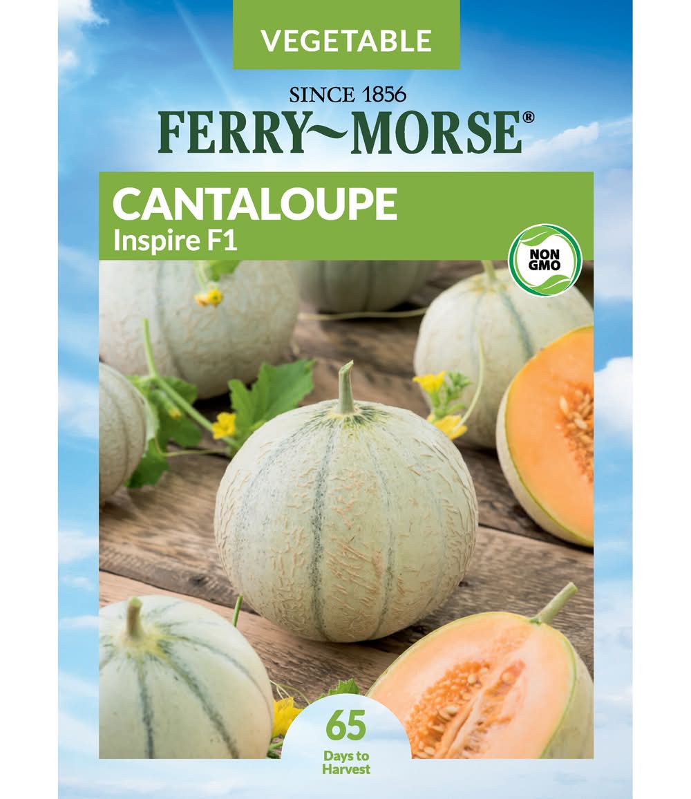Ferry-Morse Cantaloupe Seeds 1.2 Gram(s)