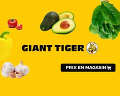 Tigre Géant (145 rue de Lafayette)