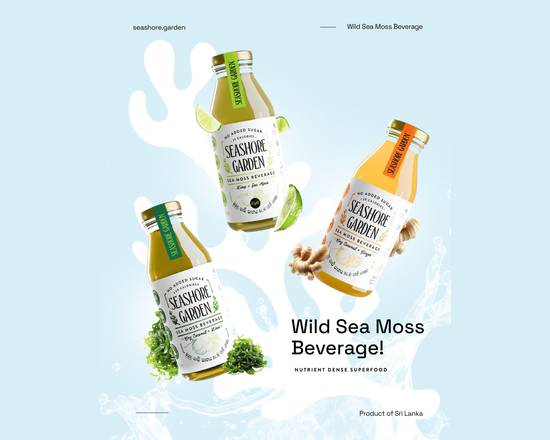 Seashore Garden - Colombo 07