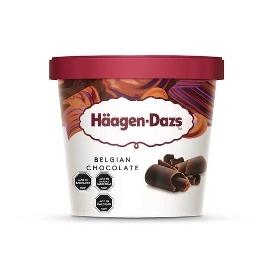 Häagen-Dazs Chocolate Belga