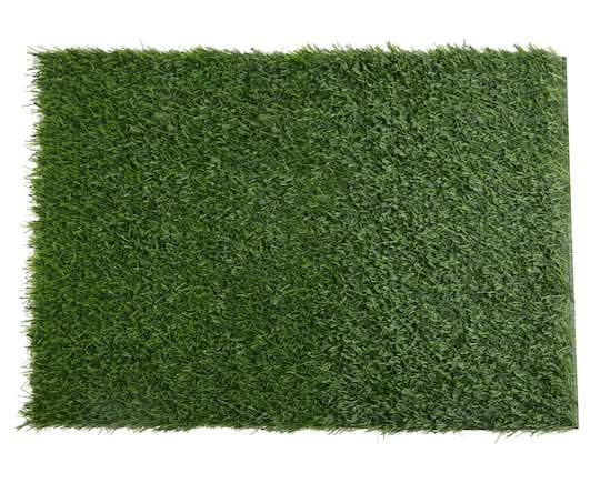 Celebrate It Green Grass Placemat, 14" x 20"