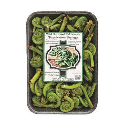 Têtes de violon (227 g) - Fiddlehead (227 g)