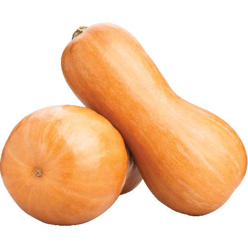 Butternut Squash