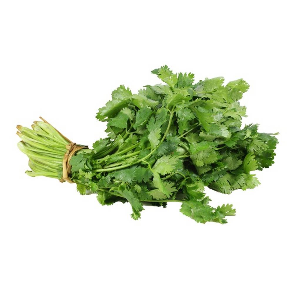 Coriander