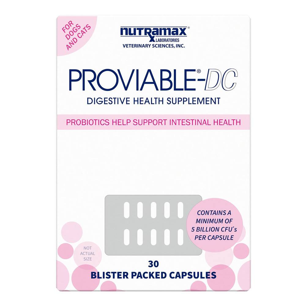 Nutramax® Proviable-DC Digestive Supplement for Cats & Dogs (Size: 30 Count)