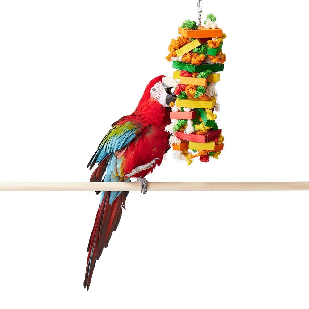 All Living Things® Knots & Blocks Bird Toy (Color: Assorted)