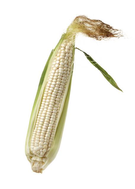 White Sweetcorn