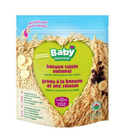 Baby Gourmet Organic Banana Raisin Oatmeal (227 g)