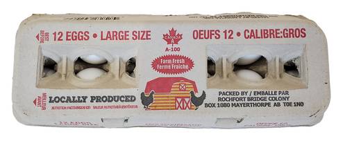 Rochfort Bridge Fresh Eggs, Large (12 ct)