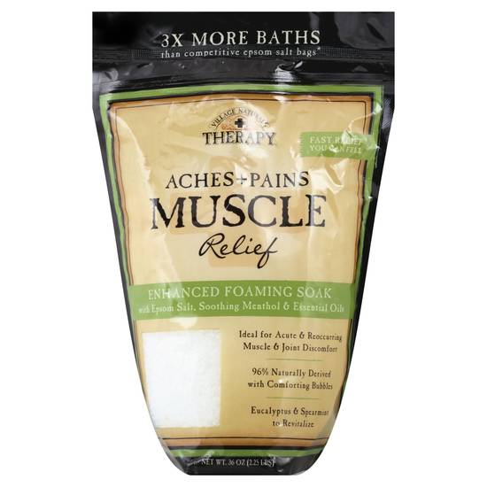 Village Naturals Therapy Aches & Pains Muscle Relief Foaming Bath Soak