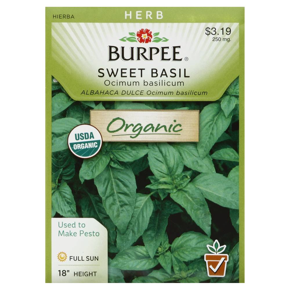 Burpee Sweet Basil, Ocimum Basilicum