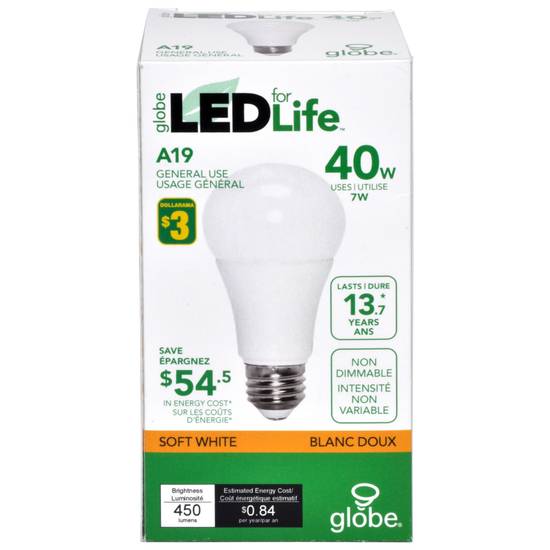 Globe A19 40W Led Soft White Light Bulb (40W-A19)