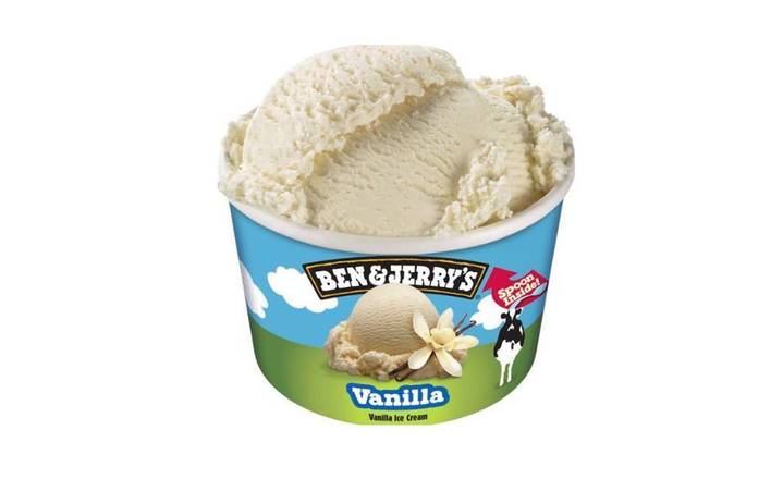 Ben & Jerry's Vanilla 100mL