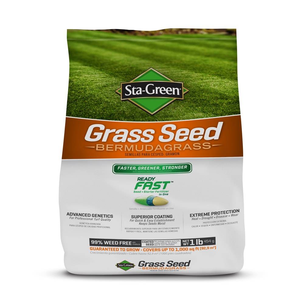 Sta-Green Ready Fast 1-lb Bermuda Grass Seed | PS-B1
