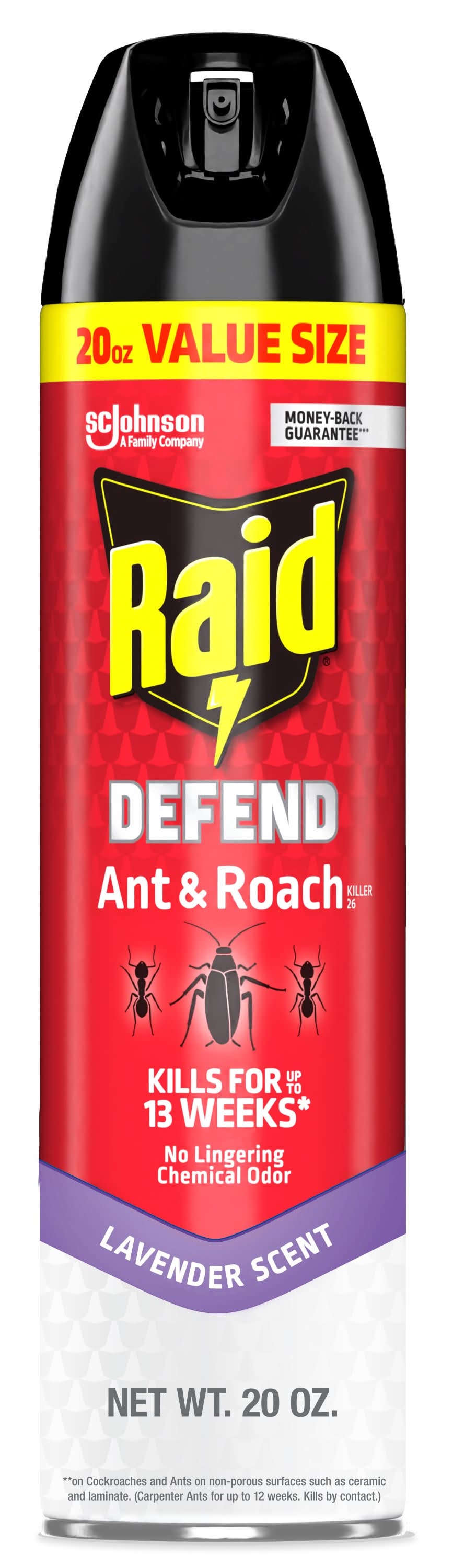 Raid 20 Ounce(s) Defend Ant and Roach Killer Indoor Spray