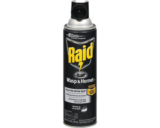 Raid · Wasp & Hornet Killer Spray (14 oz)