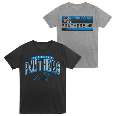NFL Carolina Panthers Toddler Boys' Gray 2pk T-Shirt - 2T