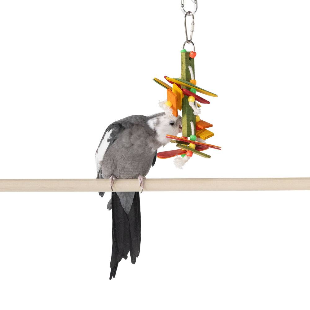 All Living Things® Hang Down Bird Toy (Color: Assorted)