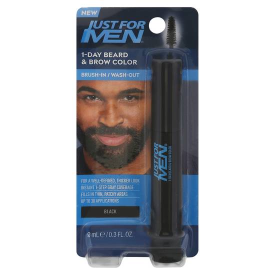 Just For Men 1-day Beard & Brow Color Brush-In/Wash-Out