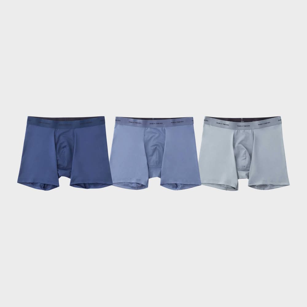 Pair of Thieves Quick Dry Boxer Briefs, Men, L, Assorted (3 ct)