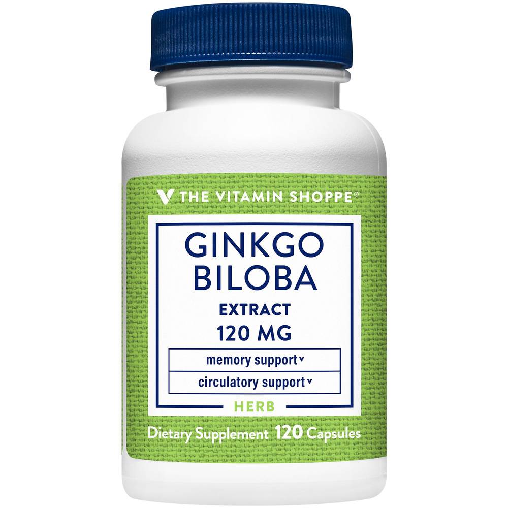 Ginkgo Biloba Extract - Cognitive Health, Memory, & Circulatory Support - 120 Mg (120 Capsules)