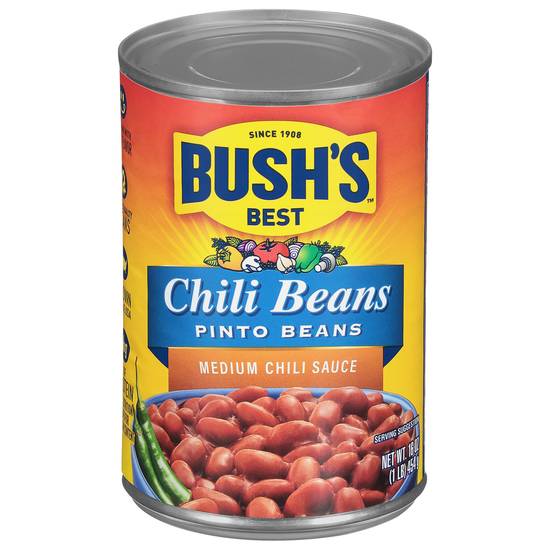 Bush's Medium Chili Sauce Chili Beans Pinto Beans