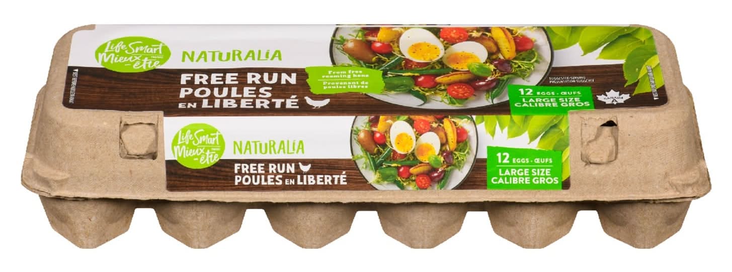 Lifesmart Gros œufs de poules en liberté
