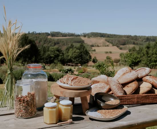 Semilla Jiasú, La Roma (Cuidad de Mexico)