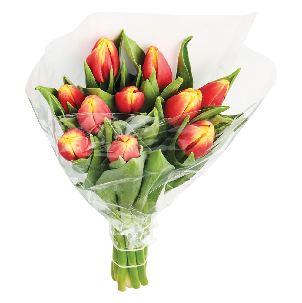 10 Stem Tulips