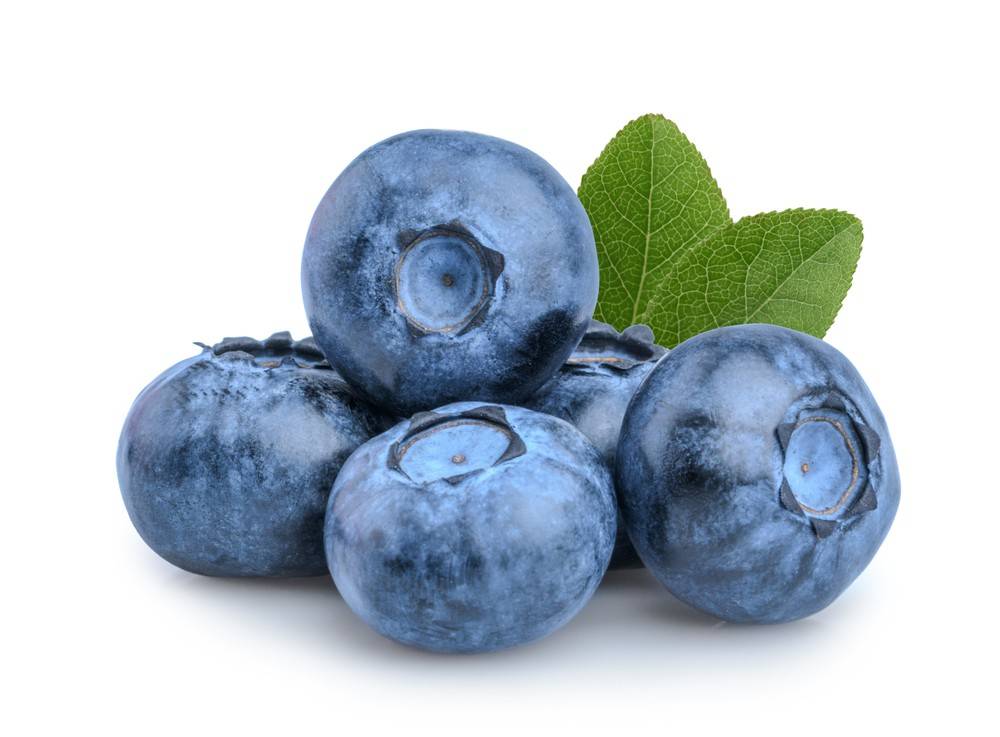 Jumbo Blueberries - 9.8oz