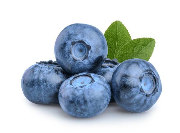 Bleuets (500 g) - Blueberries (170 g)