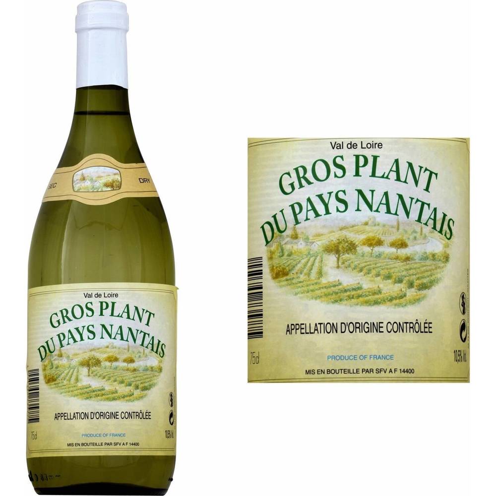 Gros Plant - Vin blanc du pays nantais sec (750ml)
