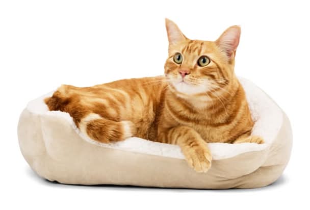 EveryYay Essentials Step in Nester Cat Bed, S, Tan