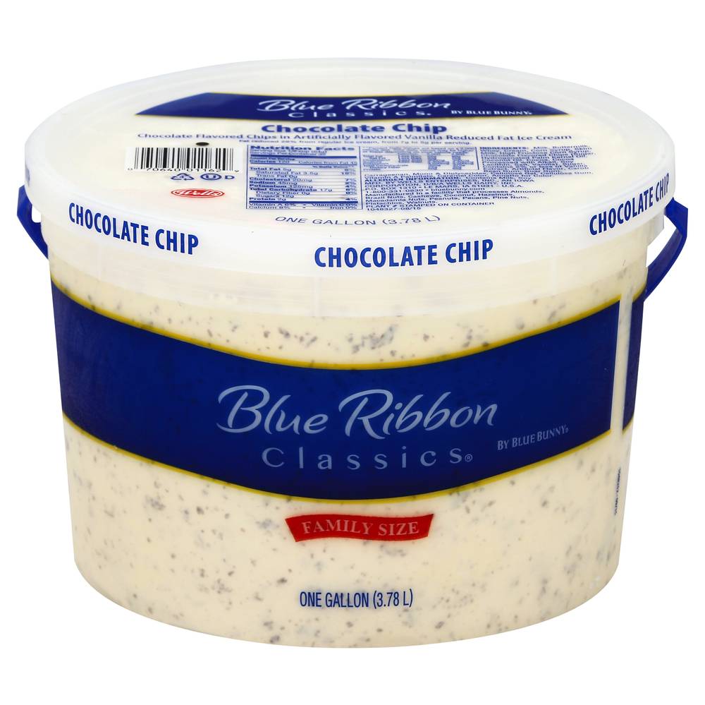 Blue Ribbon Classics Chocolate Chip Family Size Ice Cream