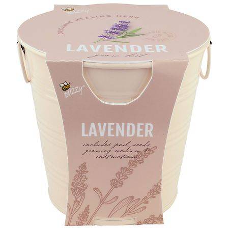 Buzzy Painted Pail Grow Kit - Lavender - 1.0 ea