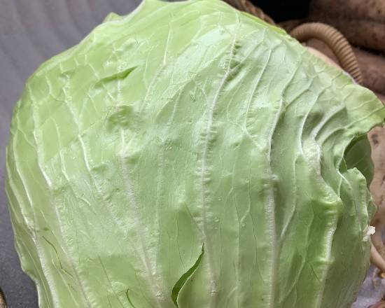 有機高麗菜(中) Organic Cabbage (Medium)