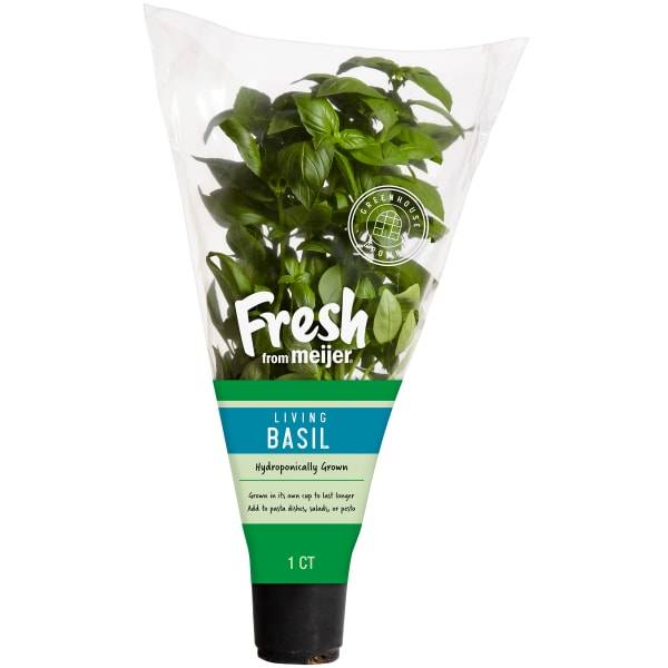 Fresh from Meijer Living Hydro Basil