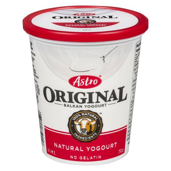Astro Original Balkan Style Plain Yogurt (750 g)