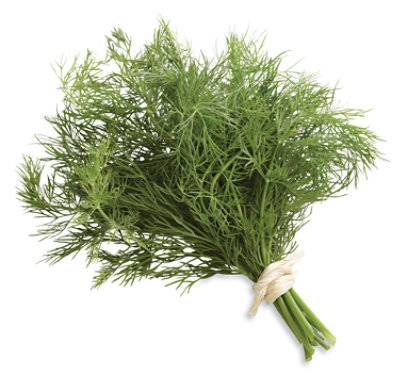 Dill Organic - Each