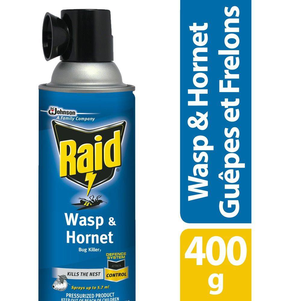 Raid raid guêpe et frelon insecticide - 400g (400 g) - wasp and hornet insect killer spray (400 g)