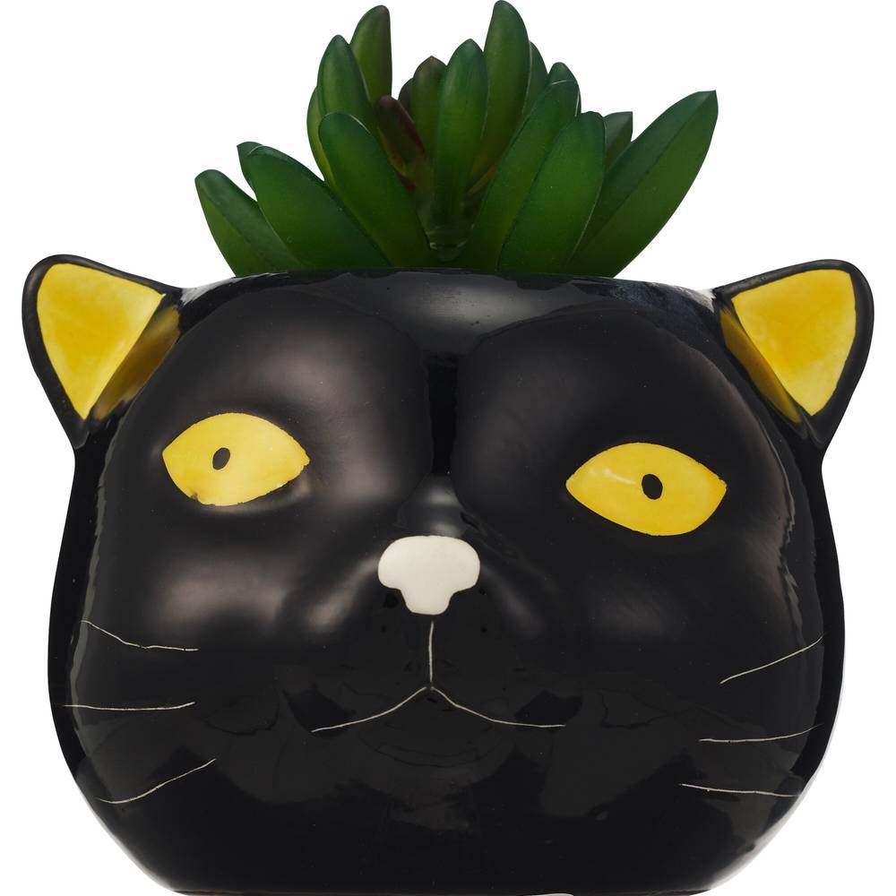 Ceramic Cat with Succulent, 3.94 in