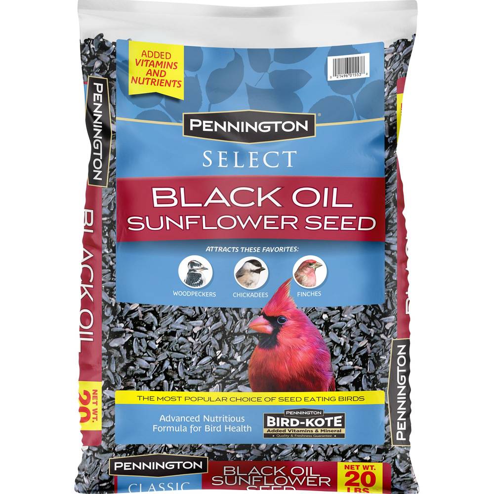 Pennington Select Black Oil Sunflower Bird Seed (20 lbs)