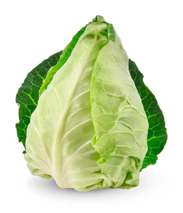 Couve CoraÃ§Ã£o Programa Origens