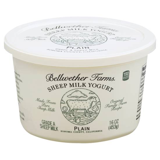 Bellwether Farms Sheep Milk Plain Yogurt (16 oz)
