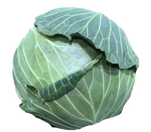 キャベツ 1玉