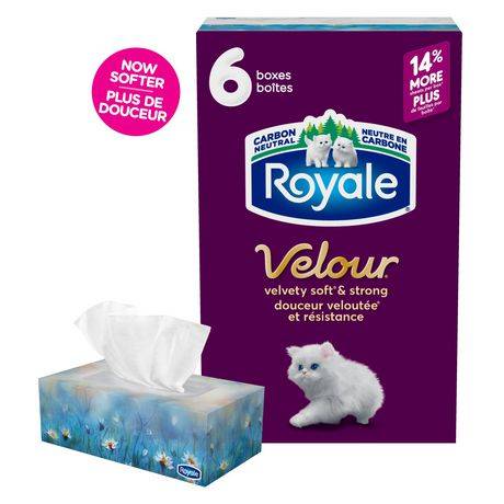 Royale Velour 3-ply Facial Tissue (6 ct)