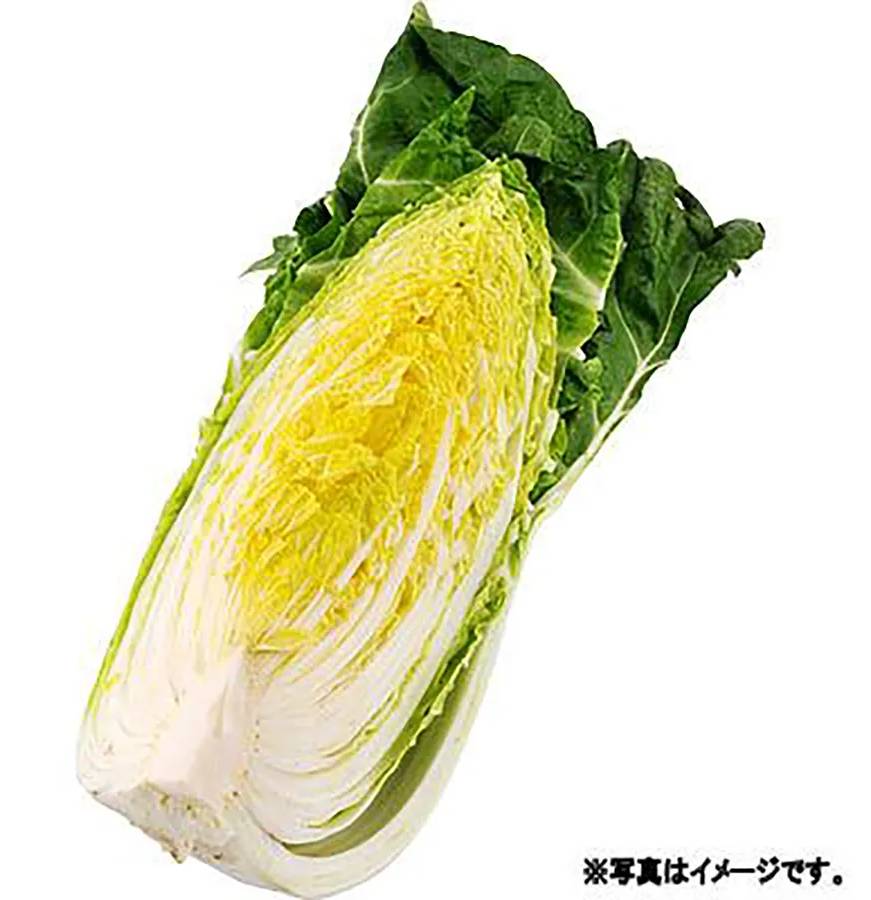 はくさい 1/4ｶｯﾄ