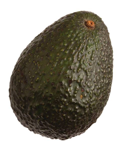 Fresh Avocado