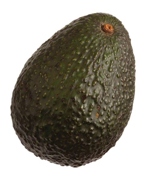 Fresh Avocado